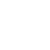 FIVELION 