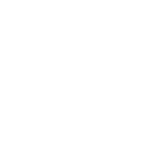 FIVELION 