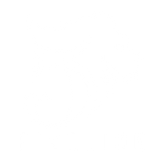 FIVELION 